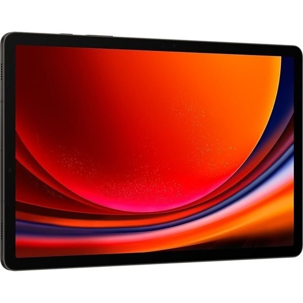 Планшет Samsung Galaxy Tab S9 12/256GB Wi-Fi Серый (Graphite)