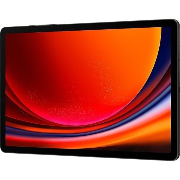 Планшет Samsung Galaxy Tab S9 12/256GB Wi-Fi Серый (Graphite)