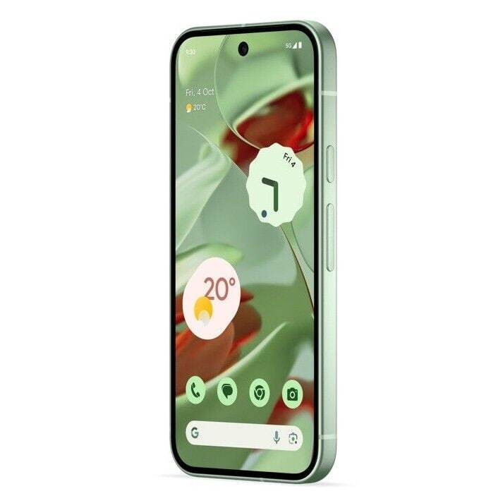 Смартфон Google Pixel 9 12/128GB Зеленый (Winter Green)