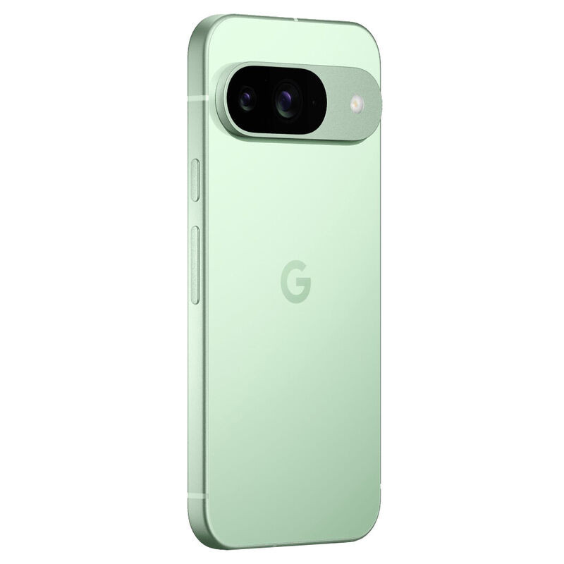 Смартфон Google Pixel 9 12/128GB Зеленый (Winter Green)