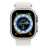 Умные часы Apple Watch Ultra 49mm Titanium Case White Ocean Band