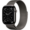 Умные часы Apple Watch Series 11 46mm Slate Titanium Case with Slate Milanese Loop (M/L)