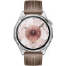 Умные часы HUAWEI Watch GT 6 46mm Коричневый (Brown)