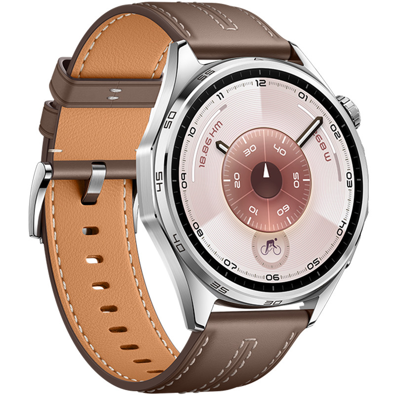 Умные часы HUAWEI Watch GT 6 46mm Коричневый (Brown)