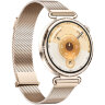 Умные часы HUAWEI Watch GT 6 41mm Золотой (Golden)