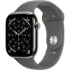 Умные часы Apple Watch Series 11 46mm Natural Titanium Case with Stone Gray Sport Band (M/L)