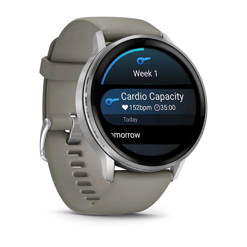 Умные часы Garmin Venu 4 45mm Silver with Silver Gray Silicone Band (010-03014-01)
