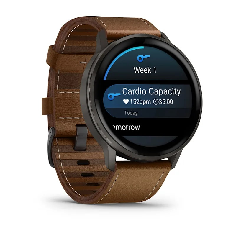 Умные часы Garmin Venu 4 45mm Slate with Black Silicone Band and Brown Leather Band (010-03014-03)