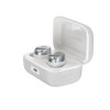 Беспроводные наушники Sennheiser Momentum True Wireless 4 Серебристый (Silver)