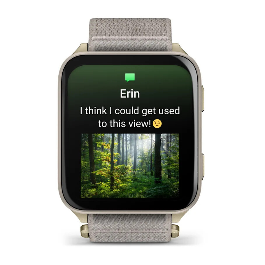 Умные часы Garmin Venu X1 Soft Gold with Titanium Caseback and French Gray Nylon Band (010-02980-08)