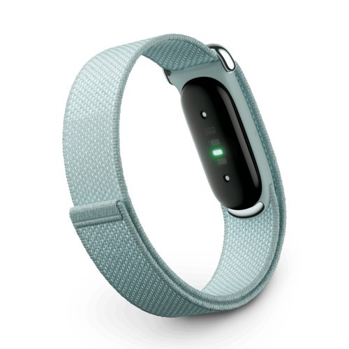 Фитнес-браслет Google Fitbit Air Серый (Fog)