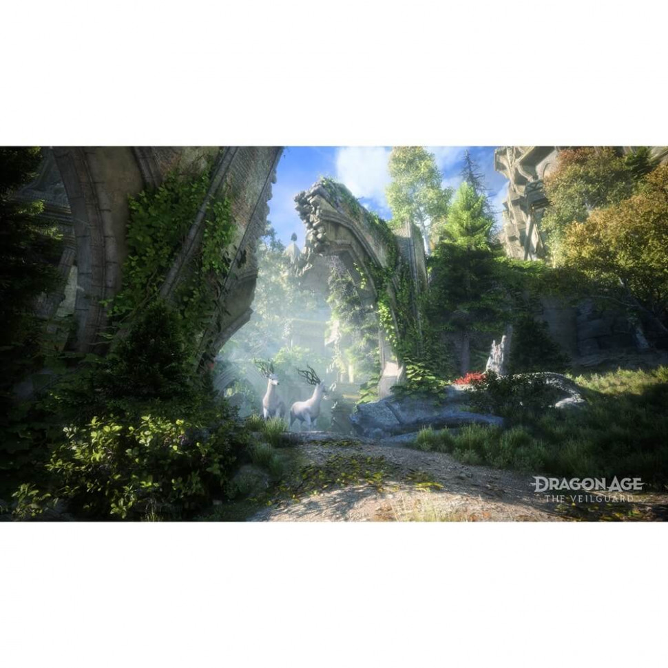 Игра Dragon Age: На страже Завесы (PlayStation 5)